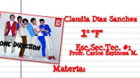 /album/fotogaleria-novedades/calcas-one-direction2-jpg/
